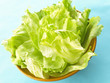 iceberg lettuce iceberg lettuce