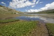 Corsica, ai bordi del lago di Nino
