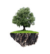 earth