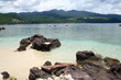 Eau transparente à Guadeloupse