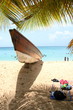 Bateau sous le palmier à Guadeloupe
