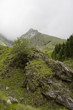 le montagne dell'appennino toscano