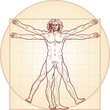 The Vitruvian man