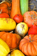 Potirons - légumes de saison - automne - halloween Potirons - légumes de saison - automne - halloween