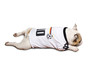 Foto: Bulldogge Fußball Fan Bulldogge Fußball Fan