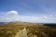 Landscape since the top of a hill