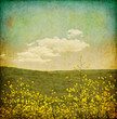 Vintage Flower Grunge