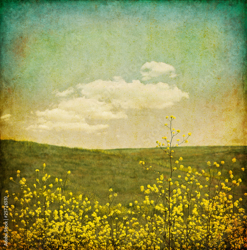 Foto: Vintage Flower Grunge Vintage Flower Grunge