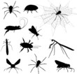 Creepy crawlies