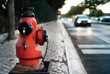 Fire Hydrant