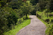 Windy Costa Rica road