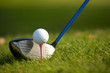 A golf club on a golf course