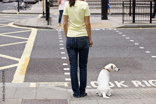Photo: A young woman and her dog waiting to cross the road A young woman and her dog waiting to cross the road