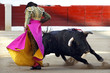 toros