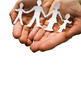 Family in the hands isolated