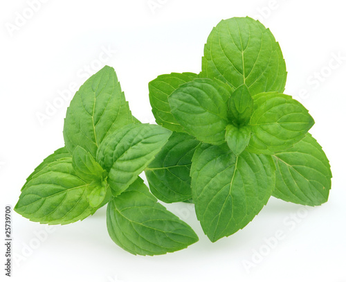 Photo: Peppermint Peppermint
