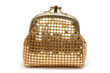 Pouch
