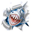 shark strap shark strap
