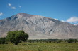Bergkette vor dem Yosemite Nationalpark Bergkette vor dem Yosemite Nationalpark