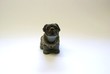 Mops