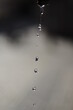 Wasser