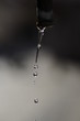 Wasser