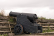 Old Danish Cannon