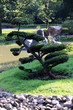 Bonsai