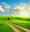 Summer landscape with green grass, road and clouds Summer landscape with green grass, road and clouds