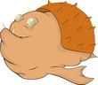 Fish a hedgehog