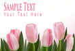 Flower design border isolated on white. Vector.