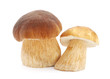 Mushrooms