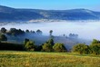 fog over field