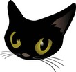 Bunny cat