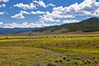 Hay Bales in a Pasture