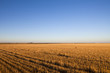 After the Harvest