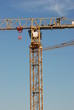 grues
