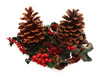 Pine Cones With Spices