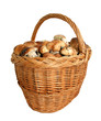 Basket with mushrooms