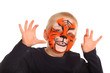 Foto: strahlender Tiger strahlender Tiger