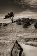 Hiddensee