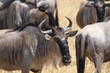Tanzanie