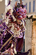 Carnaval Vénitien