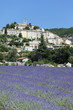 village et lavande village et lavande