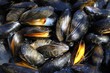 moules à la plancha