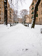 Foto: eingeschneiter Park eingeschneiter Park