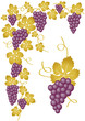 uvas violetas con hojas doradas uvas violetas con hojas doradas