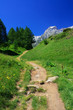 Alpi Ossolane