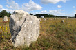 Mégalithe