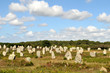 Les mégalithes